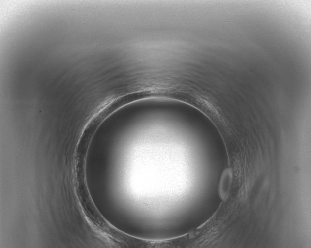 X0000054420730200508051805