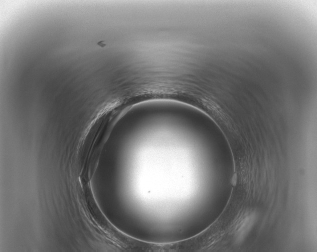 X0000054420731200508051805