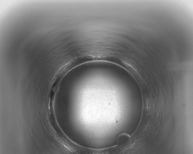 X0000054420733200508051805