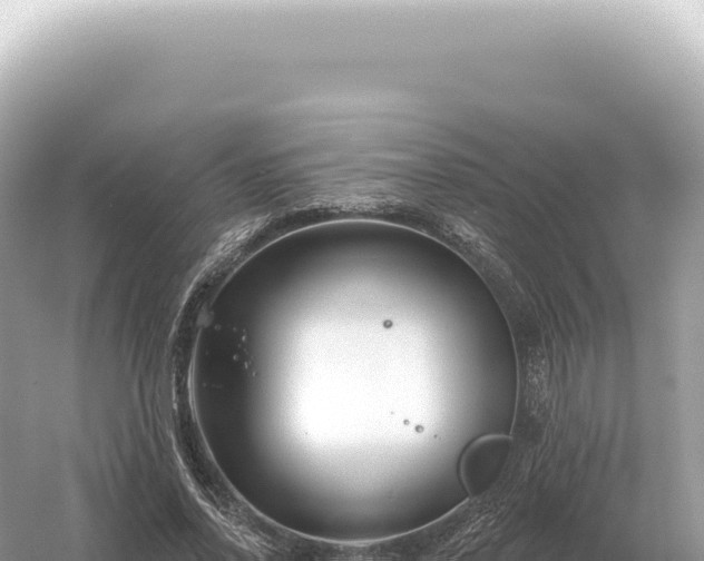 X0000054420734200508051805