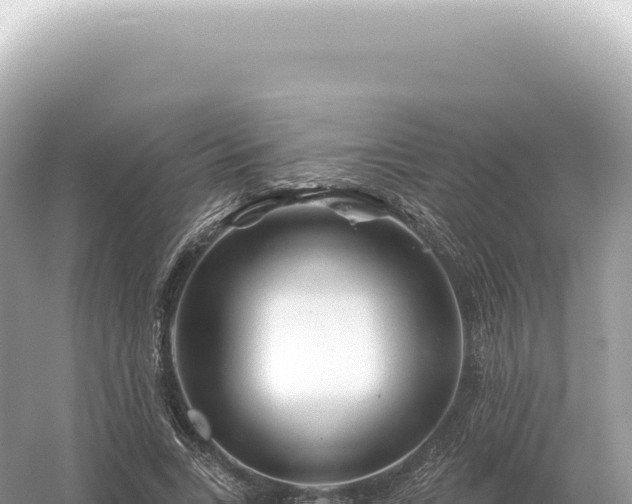 X0000054420735200508051805