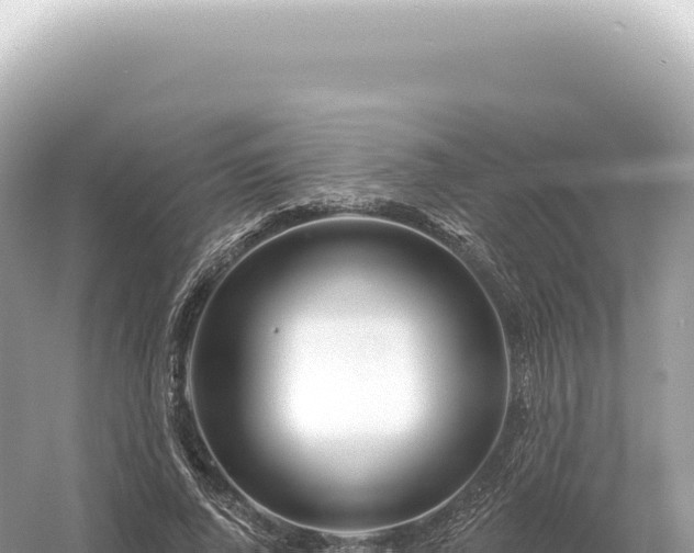 X0000054420736200508051805