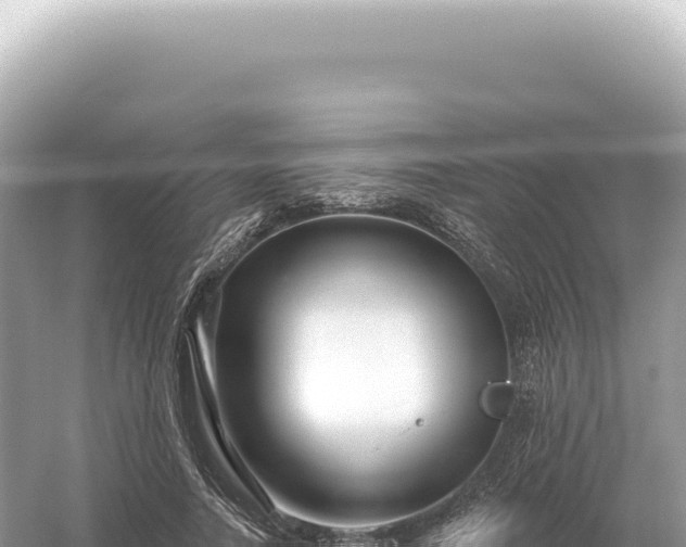 X0000054420738200508051805