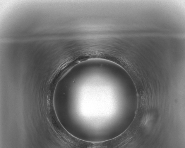 X0000054420739200508051805