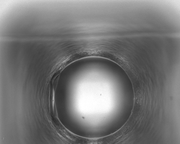 X0000054420740200508051805