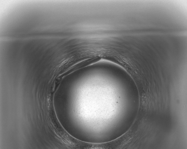 X0000054420741200508051805