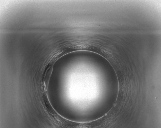 X0000054420743200508051805