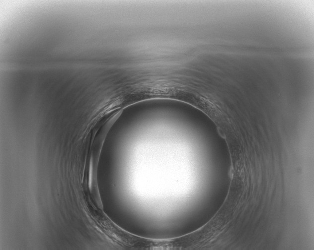 X0000054420744200508051805