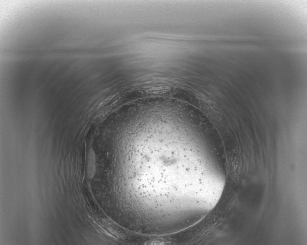 X0000054420745200508051805