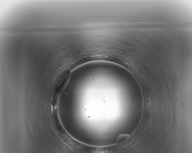 X0000054420746200508051805