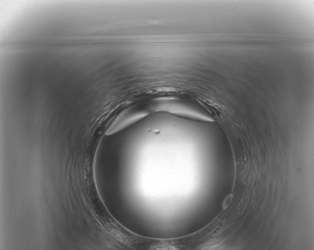 X0000054420747200508051805