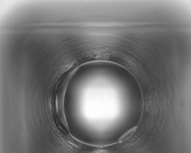 X0000054420748200508051805