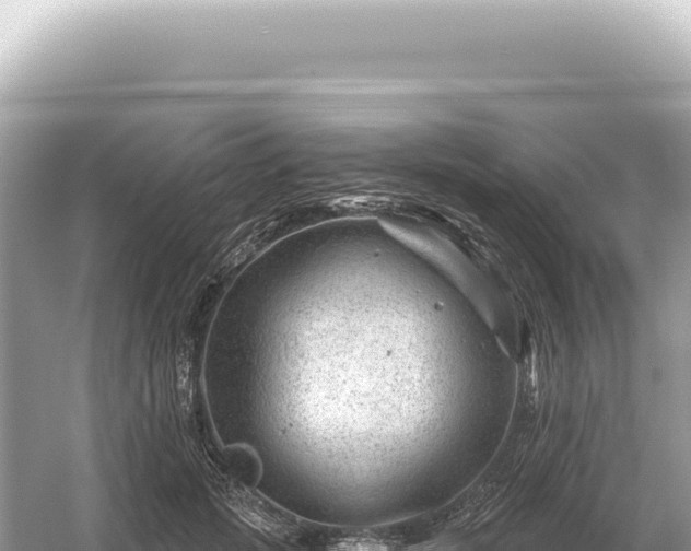 X0000054420749200508051805