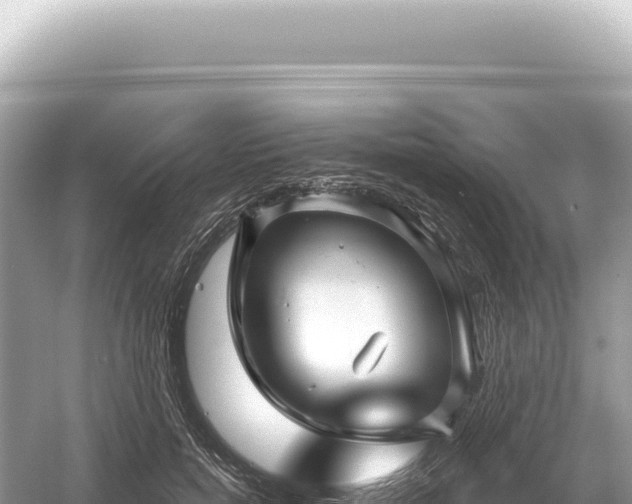 X0000054420750200508051805