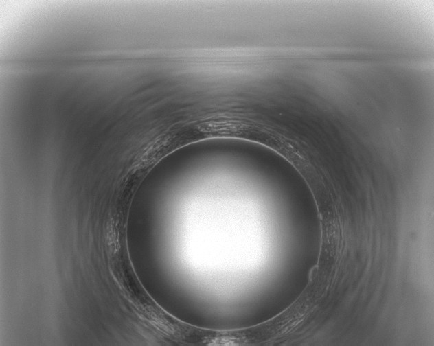 X0000054420751200508051805