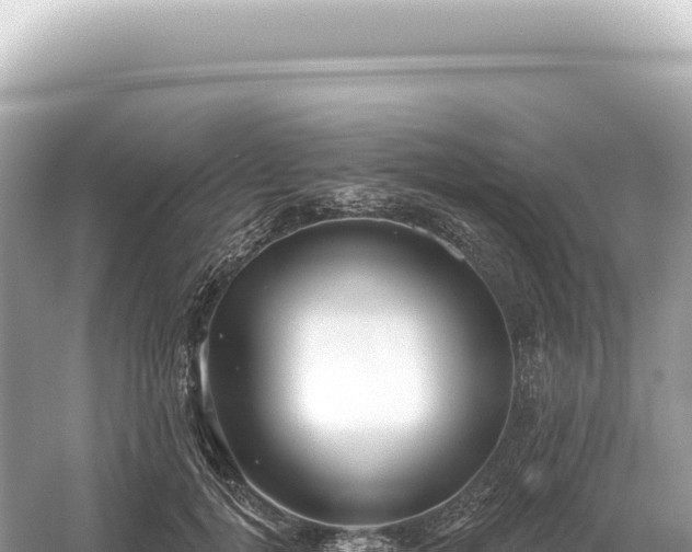 X0000054420752200508051805