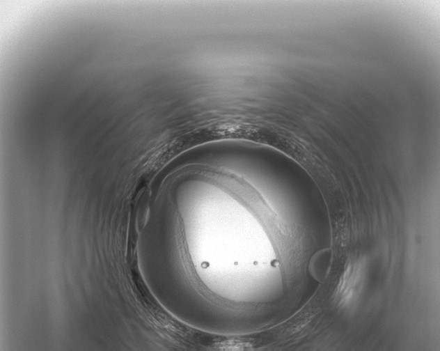 X0000054420754200508051805