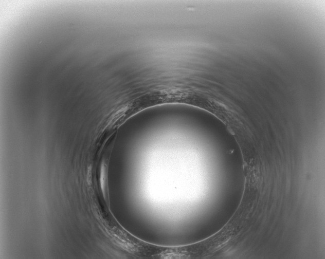 X0000054420756200508051805