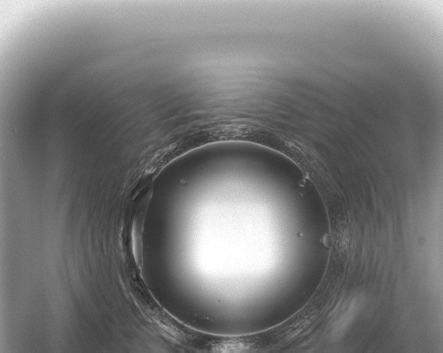 X0000054420759200508051805