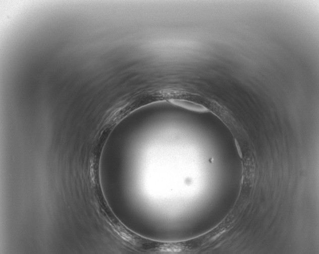 X0000054420762200508051805