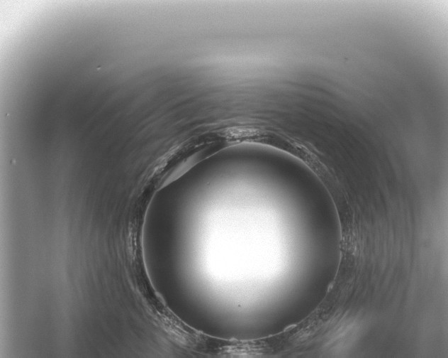 X0000054420763200508051805