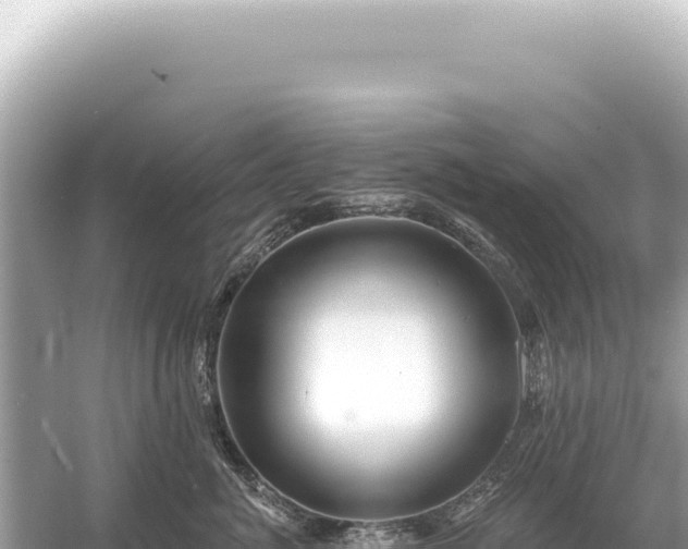 X0000054420764200508051805