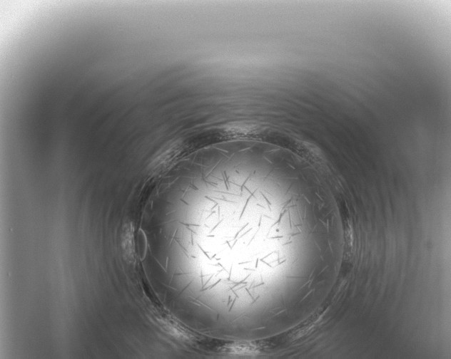 X0000054420765200508051806