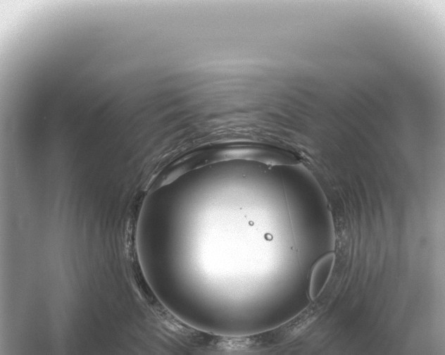 X0000054420767200508051806