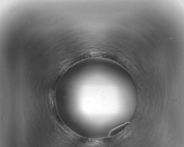 X0000054420768200508051806