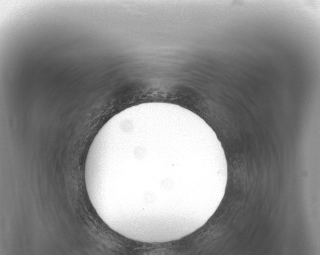 X0000054420769200508051805