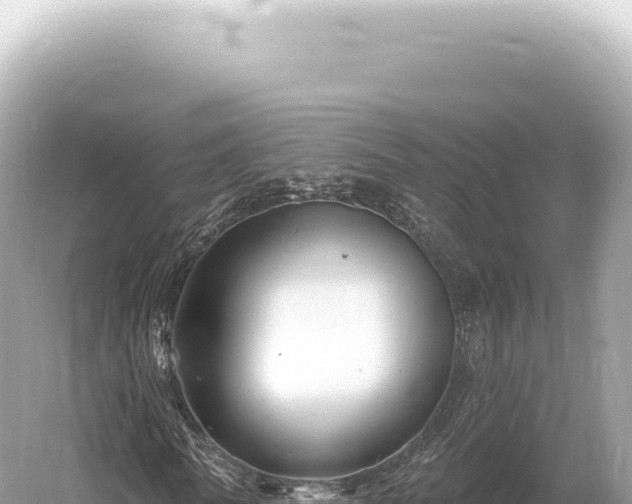 X0000054420770200508051805