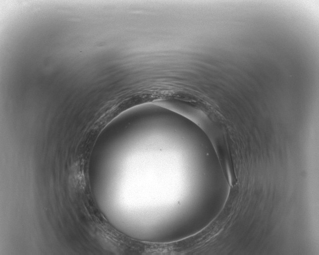 X0000054420771200508051805