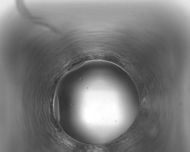 X0000054420772200508051805