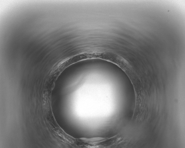 X0000054420773200508051805