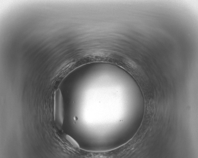 X0000054420774200508051805