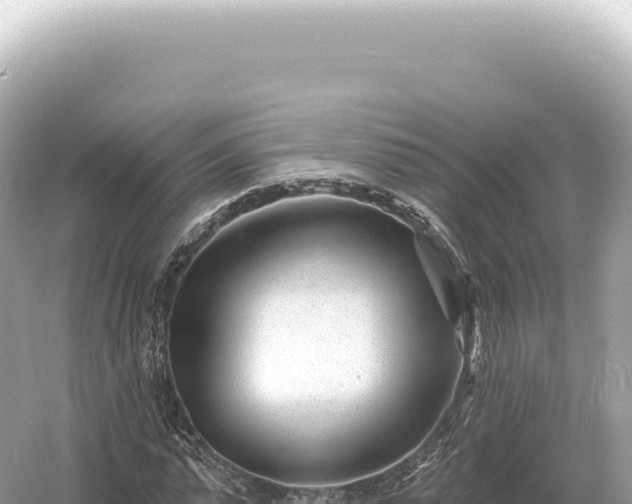 X0000054420775200508051805