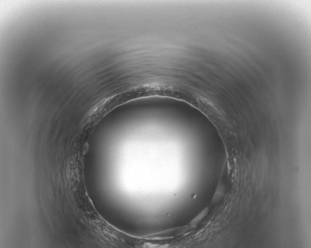 X0000054420776200508051805