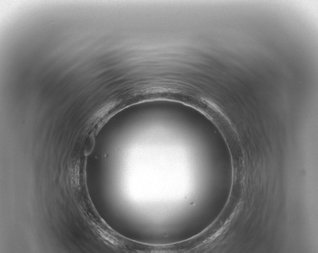 X0000054420777200508051805