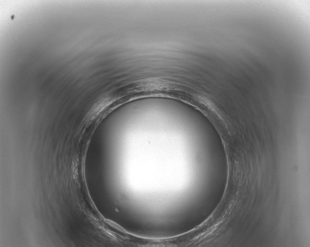 X0000054420778200508051805