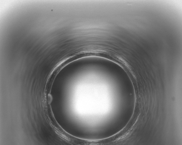 X0000054420779200508051805