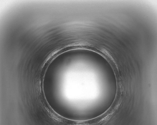 X0000054420781200508051805