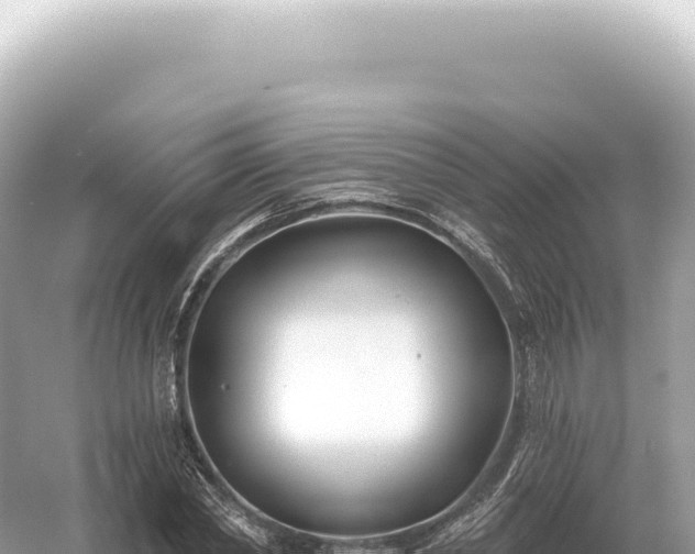 X0000054420782200508051805