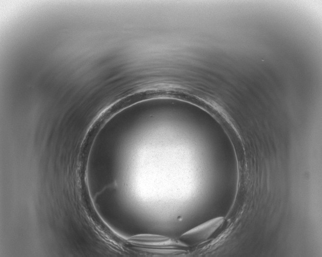 X0000054420783200508051805