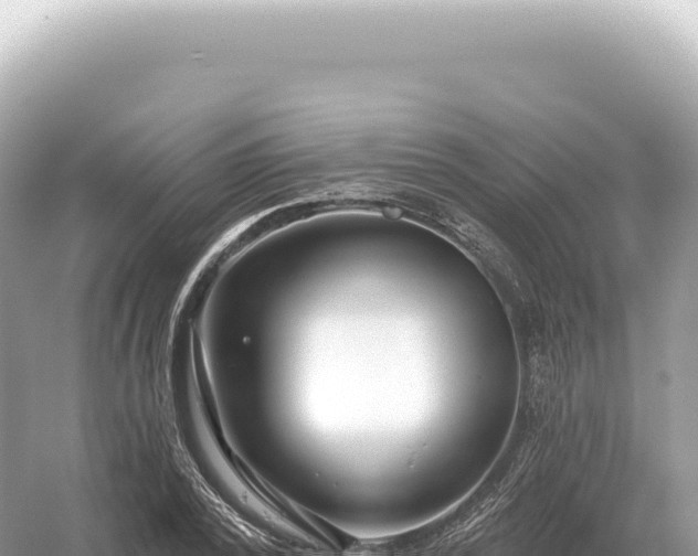 X0000054420784200508051804