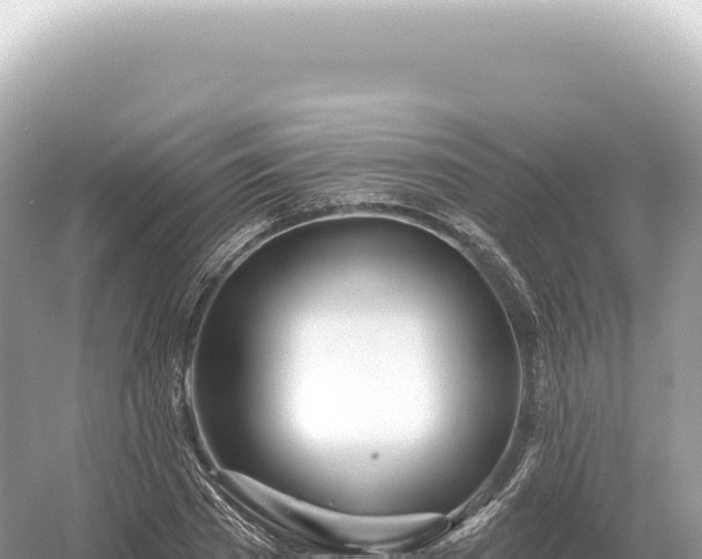 X0000054420785200508051804