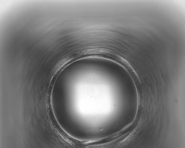 X0000054420786200508051804