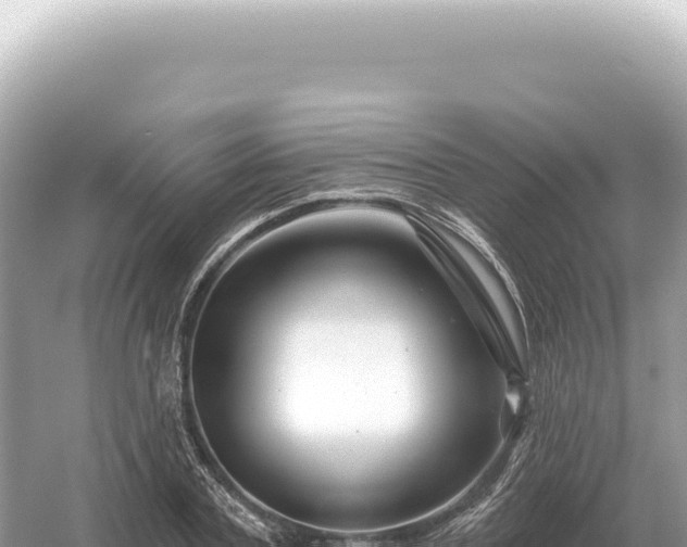 X0000054420787200508051804