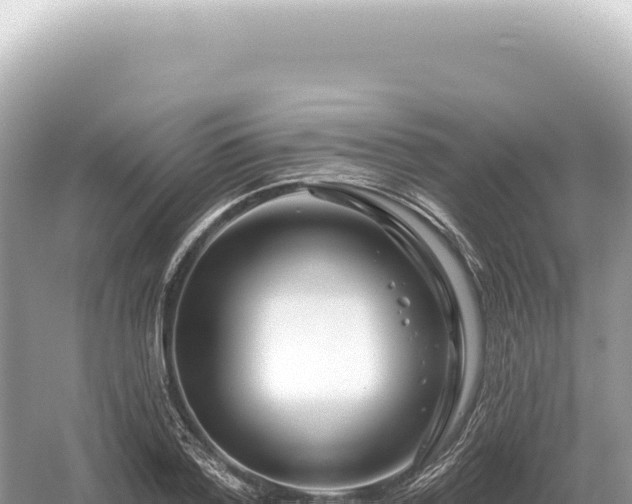 X0000054420788200508051804