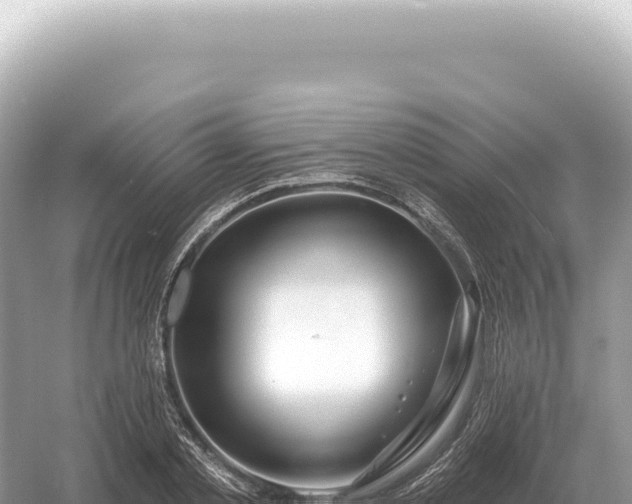 X0000054420789200508051804