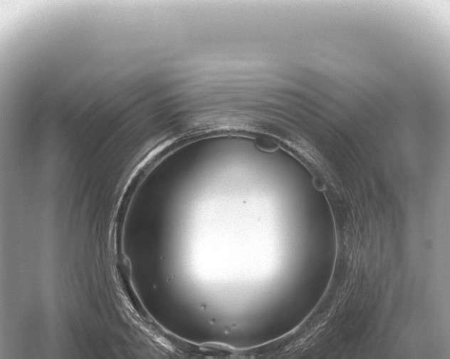 X0000054420790200508051804